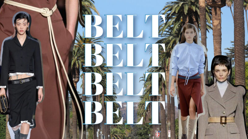 参照：Belt coordinate in hollywood way