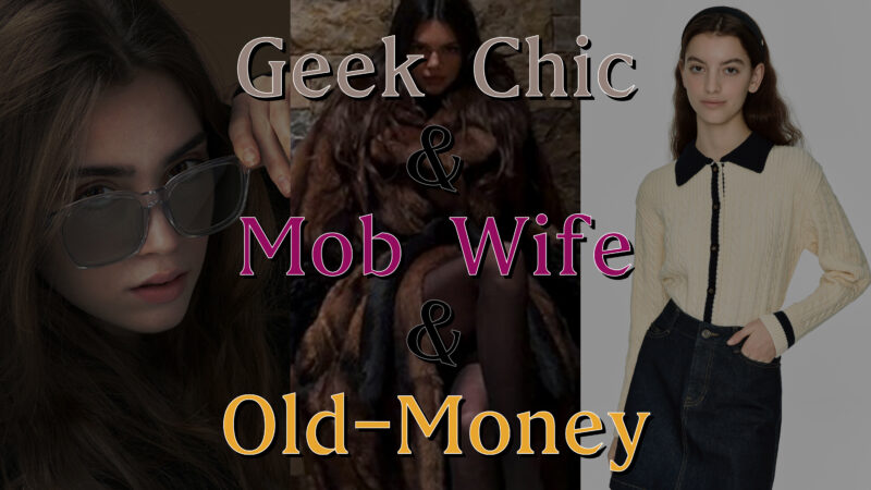 参照：geek chic & mop wife & old money